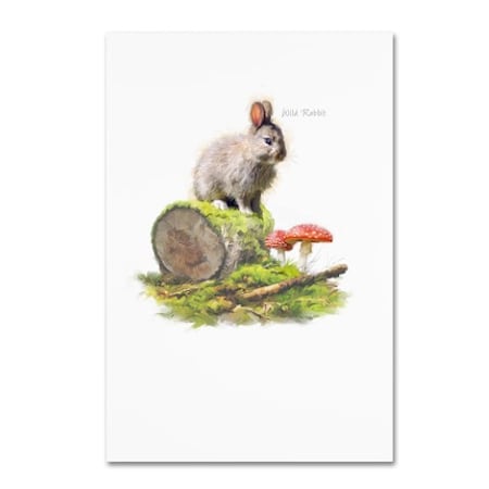 Trademark Fine Art The Macneil Studio 'Wild Rabbit' Canvas Art, 12x19 ALI09683-C1219GG